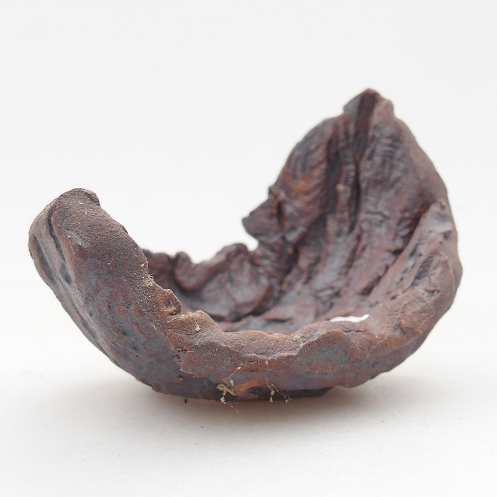 Ceramic Shell 7,5 x 5,5 x 6 cm , colour brown
