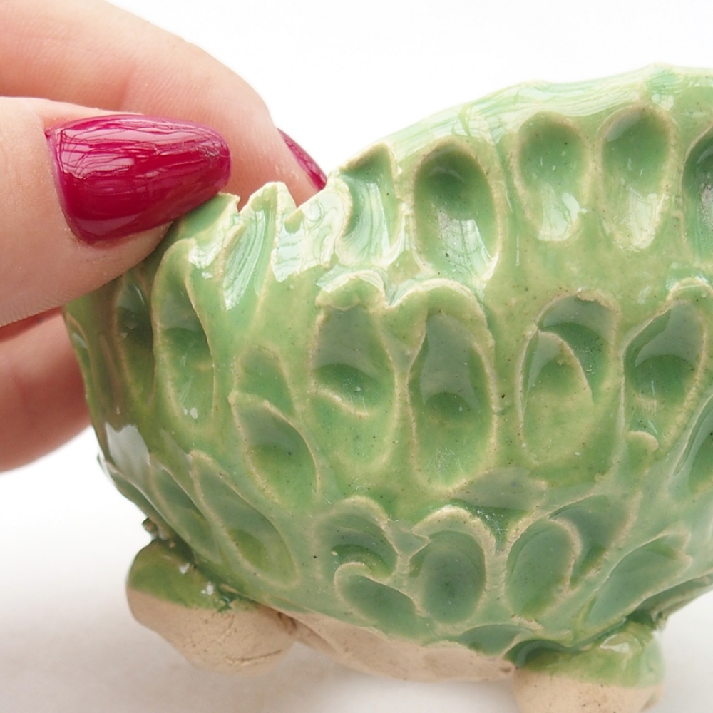 Ceramic shell 7.5 x 7 x 6 cm, color green