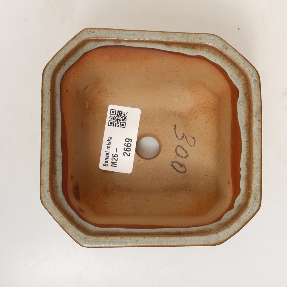 Ceramic Shell  11 x 11 x 6.5 cm, beige