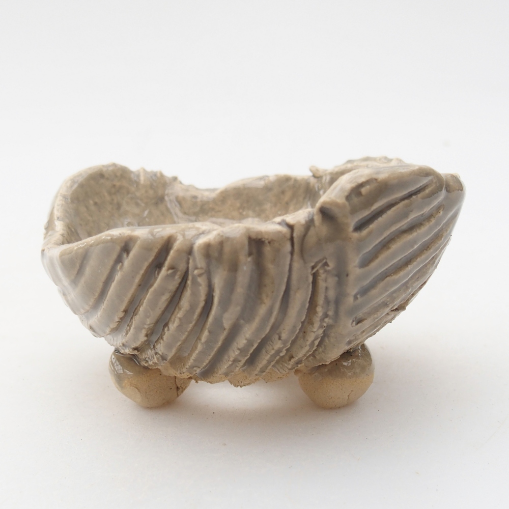 Ceramic Shell 8,5 x 8 x 5 cm , colour beige