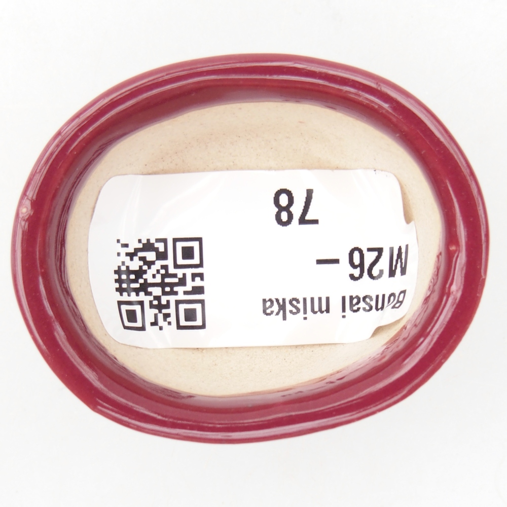 Mini bonsai bowl 4,5 x 4 x 2 cm, burgundy