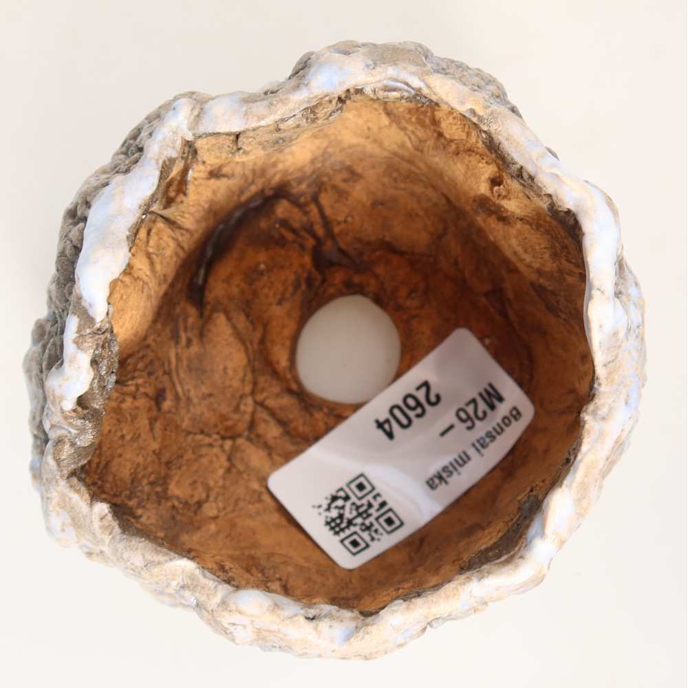 Ceramic Shell, 7.5 x 7 x 6 cm, blue-brown