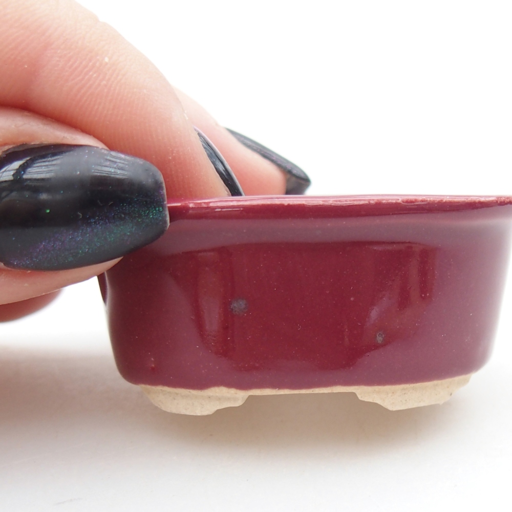 Mini bonsai bowl 4,5 x 4 x 2 cm, burgundy
