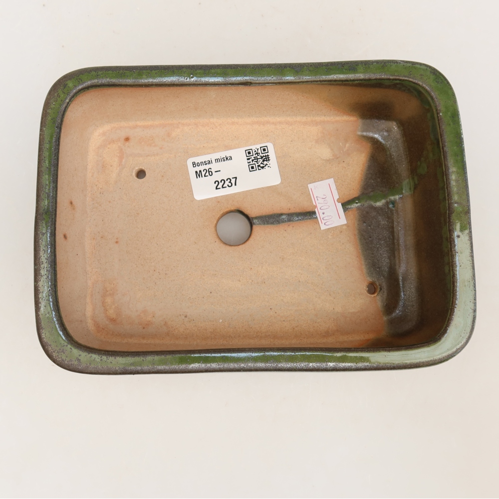 Ceramic bonsai pot, 17 x 12.5 x 5.5 cm, green