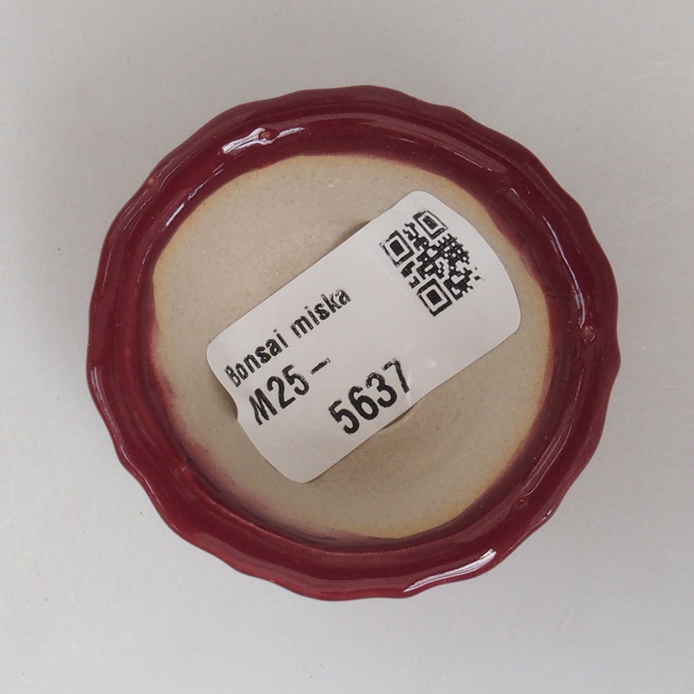 Mini bonsai bowl 5 x 5 x 2,5 cm, color burgundy