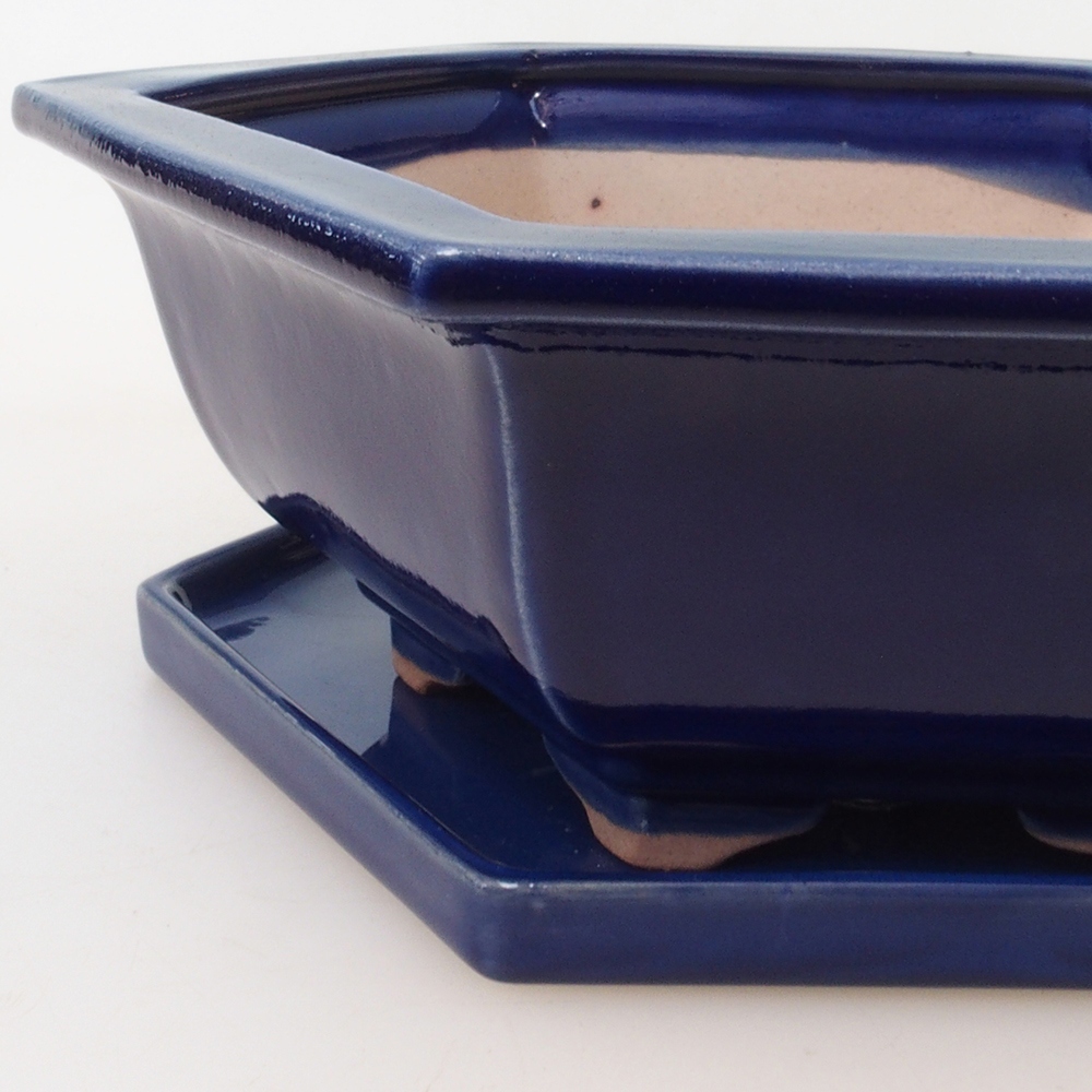 Bonsai pot + saucer H53 - 19 x 21.5 x 7 cm. - blue
