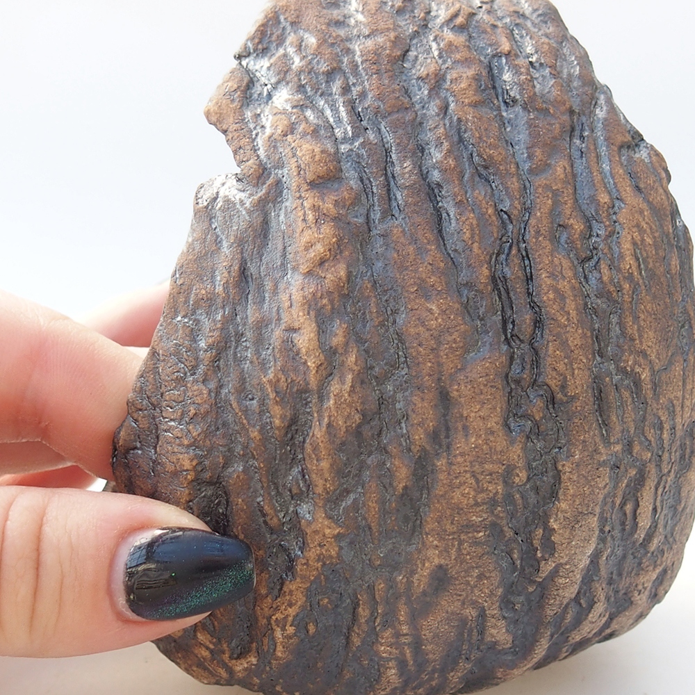 Ceramic Shell 9,5 x 9 x 12 cm , colour brown