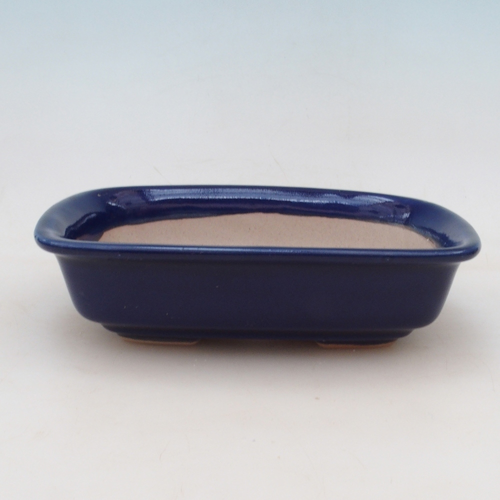 Bonsai bowl + saucer H02 - blue