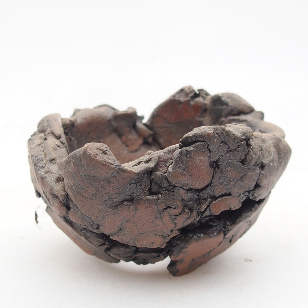 Ceramic shell 6 x 6 x 4 cm, color brown