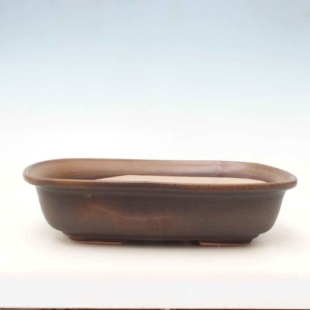 Bonsai bowl H10 - 37 x 28 x 9 cm.