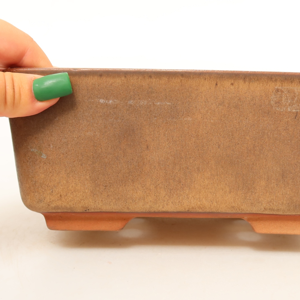 Ceramic Shell  19.5 x 15 x 8.5 cm, brown