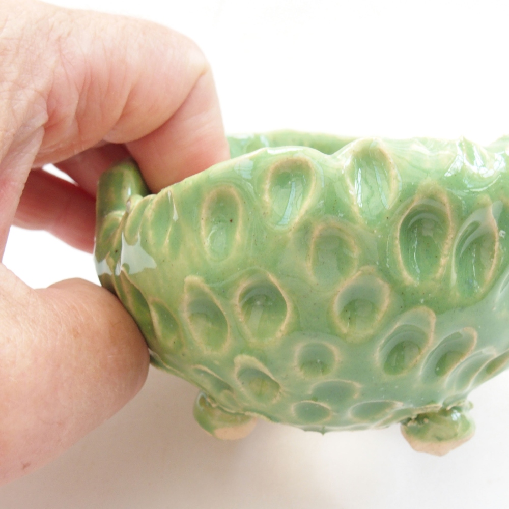 Ceramic shell 7.5 x 7.5 x 5.5 cm, color green