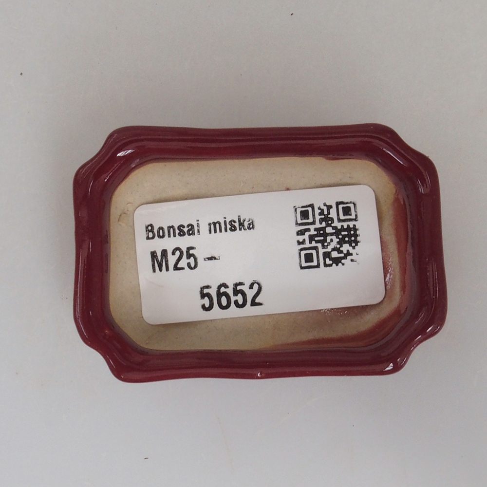 Mini bonsai bowl 5,5 x 3,5 x 1,5 cm, color burgundy