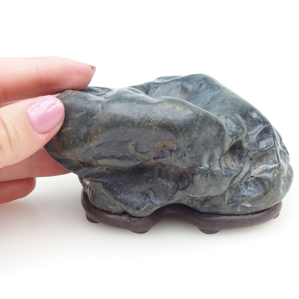 Suiseki - Stone with DAI (wooden pad)