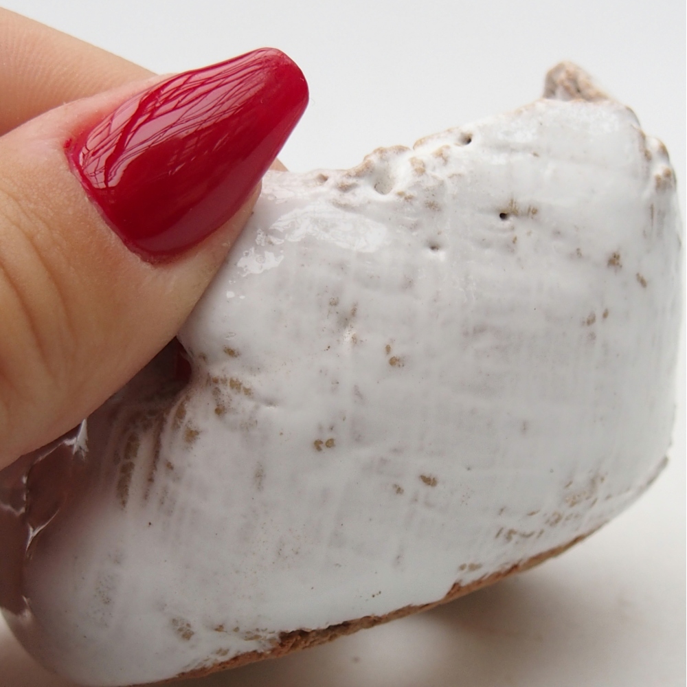Ceramic Shell 7 x 6,5 x 5 cm , colour white