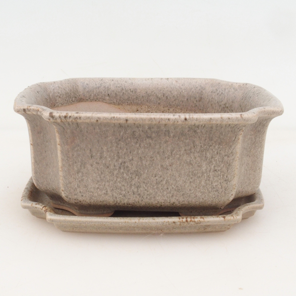Bonsai bowl + saucer H01 - beige