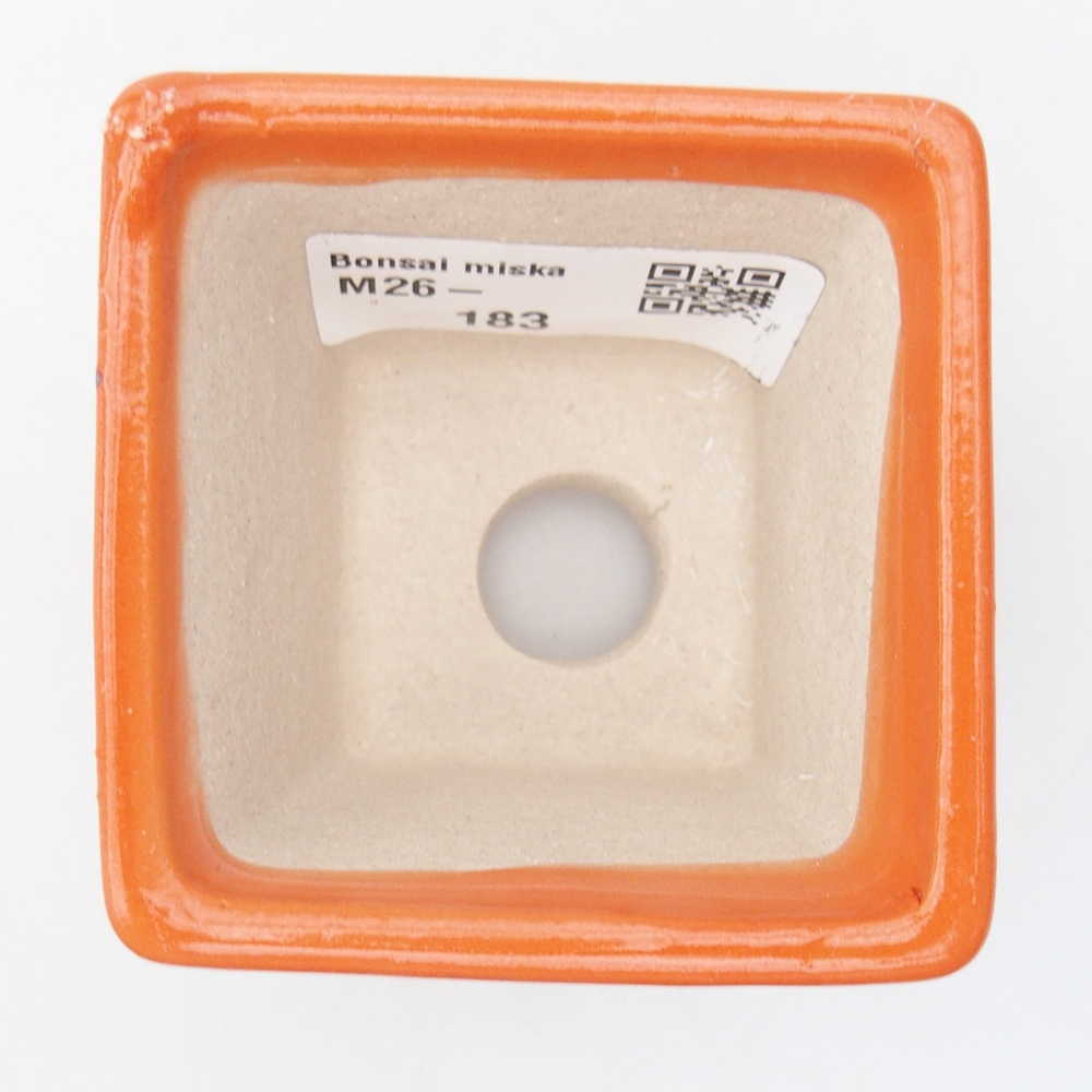 Mini bonsai bowl 6 x 6 x 5 cm, orange