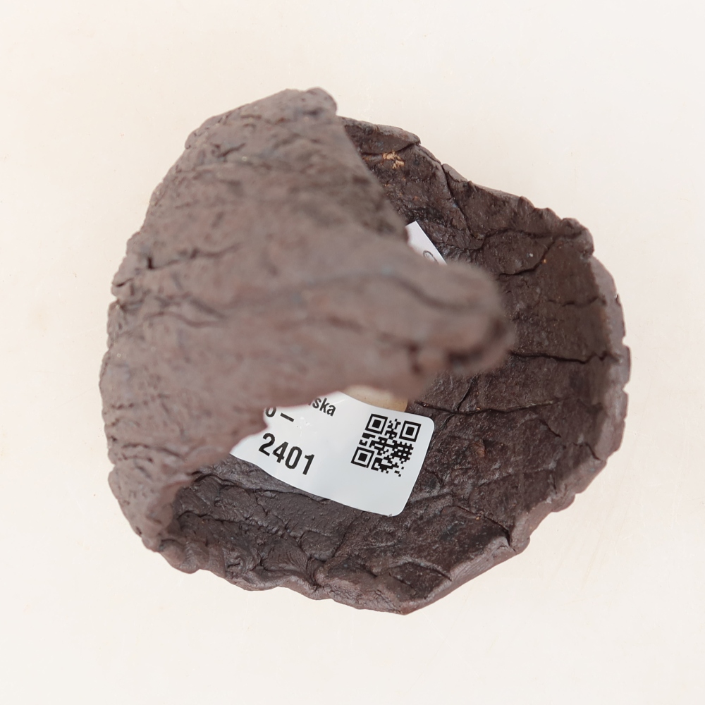 Ceramic Shell, 7.5 x 8 x 13 cm, brown