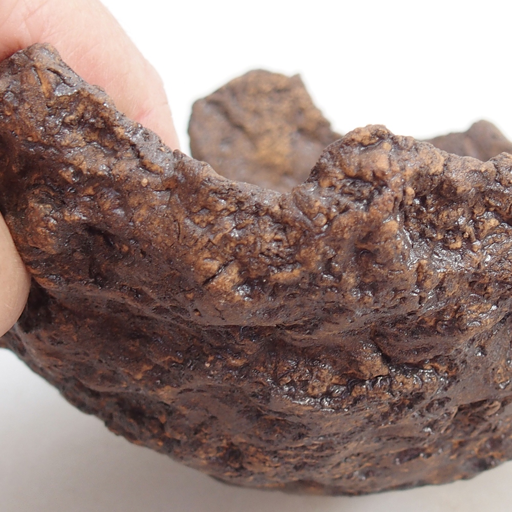 Ceramic shell 19 x 15 x 14 cm , colour brown