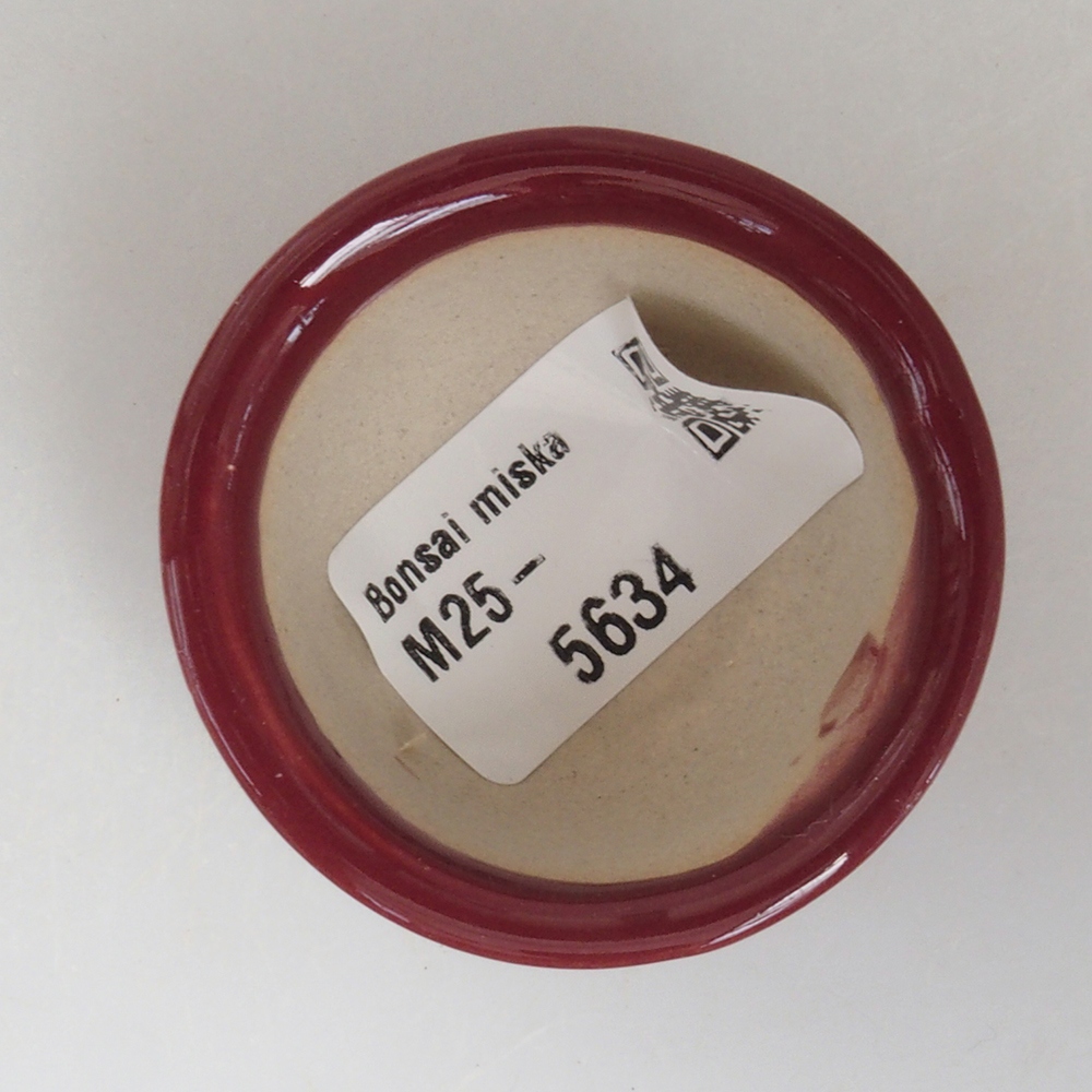 Mini bonsai bowl 4,5 x 4,5 x 2,5 cm, color burgundy