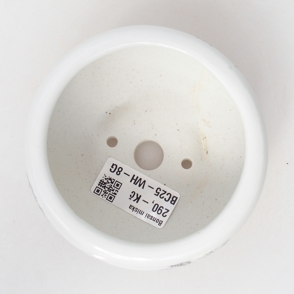 Ceramic bonsai bowl 10 x 10 x 5 cm, colour white