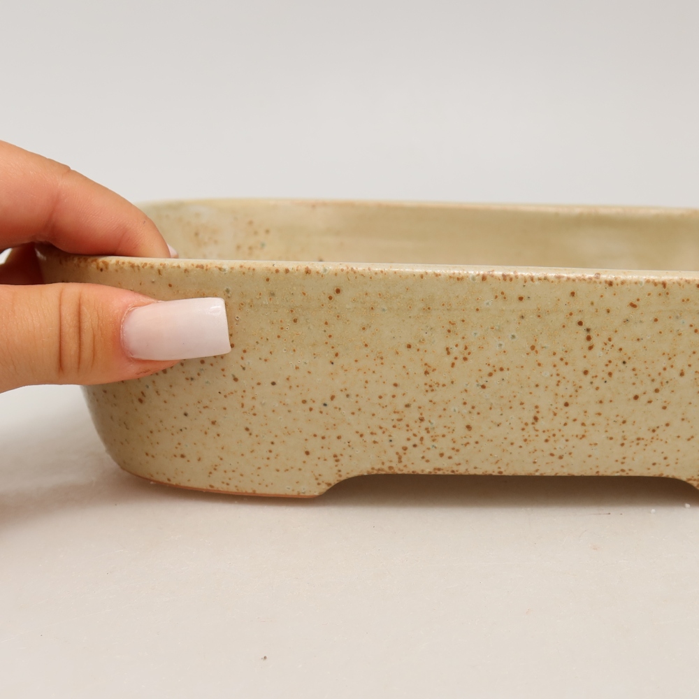 Ceramic bonsai pot, 23 x 18 x 5.5 cm, beige