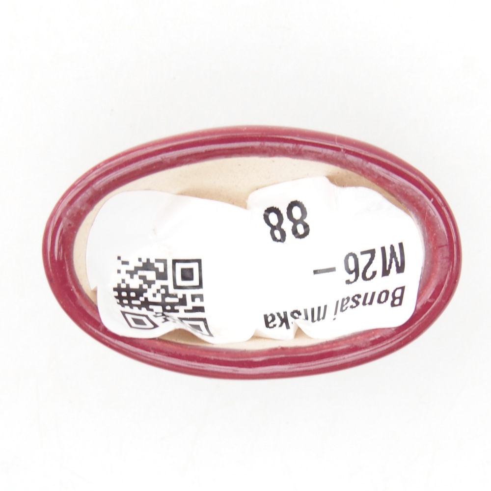 Mini bonsai bowl 4 x 2,5 x 2 cm, burgundy