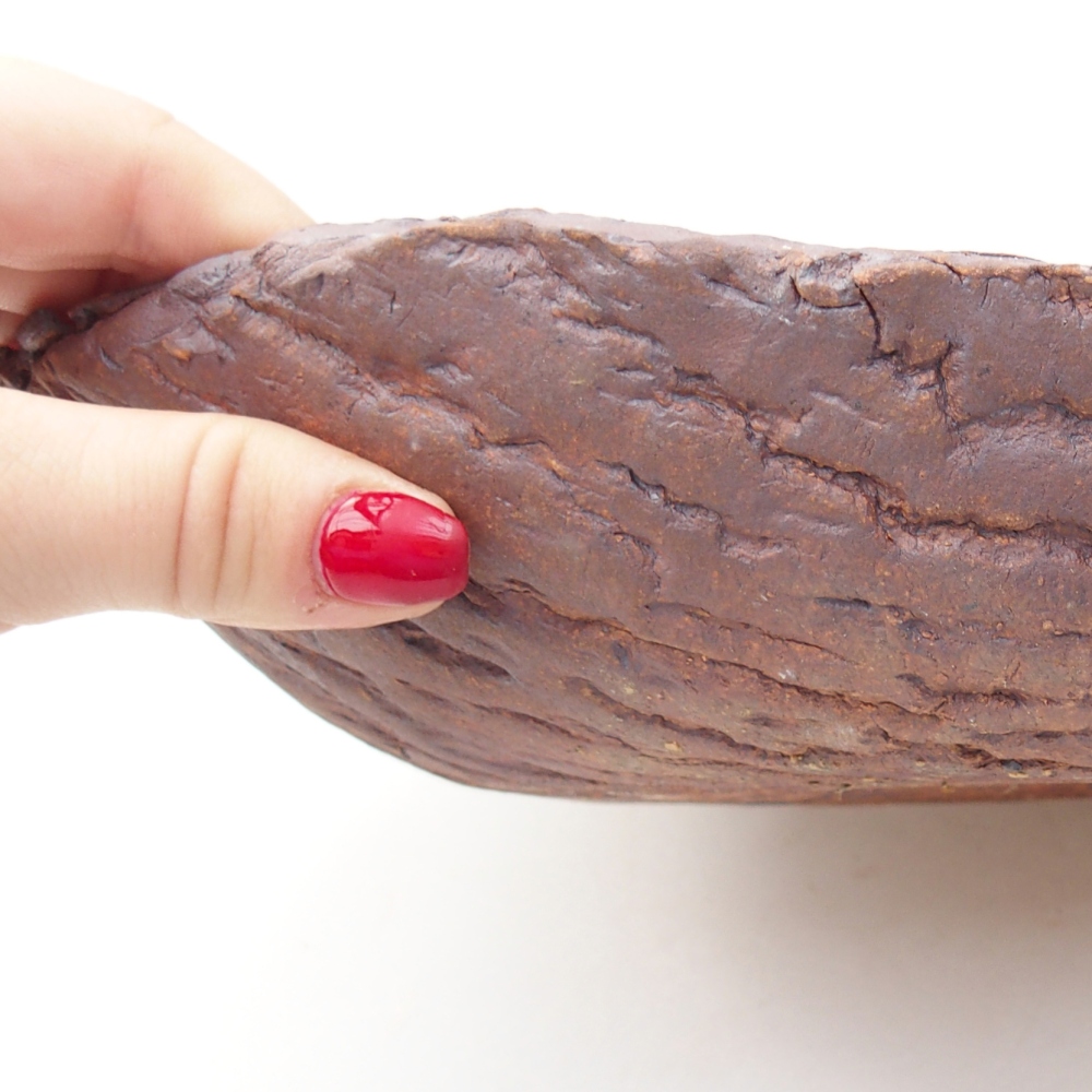 Ceramic Shell 31 x 21 x 7,5 cm , colour brown