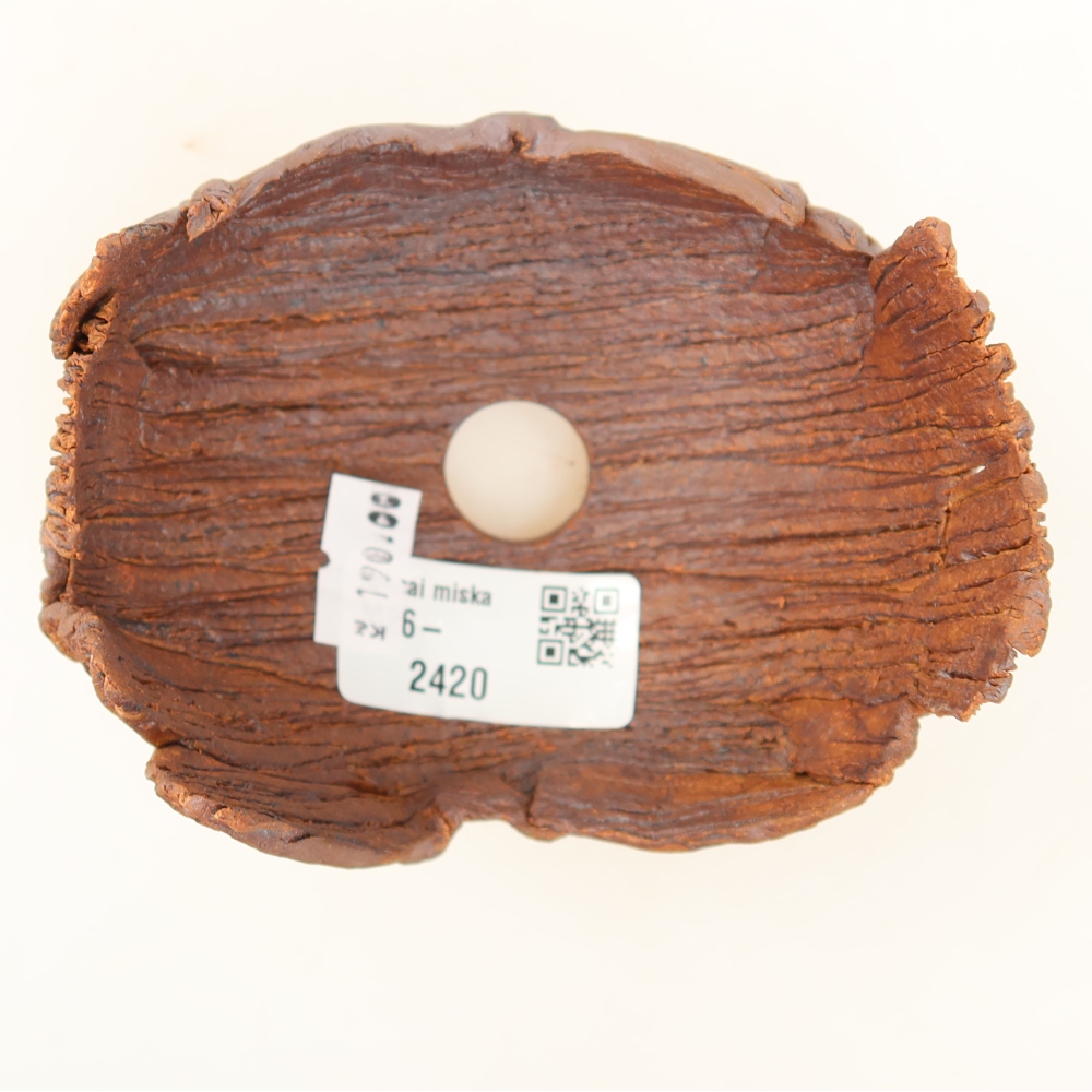 Ceramic Shell  10.5 x 8.5 x 7.5 cm, brown
