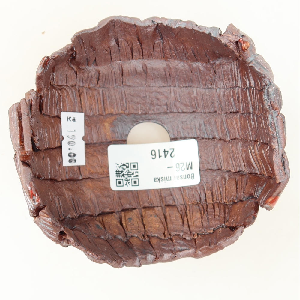 Ceramic Shell, 9.5 x 9.5 x 7 cm, brown