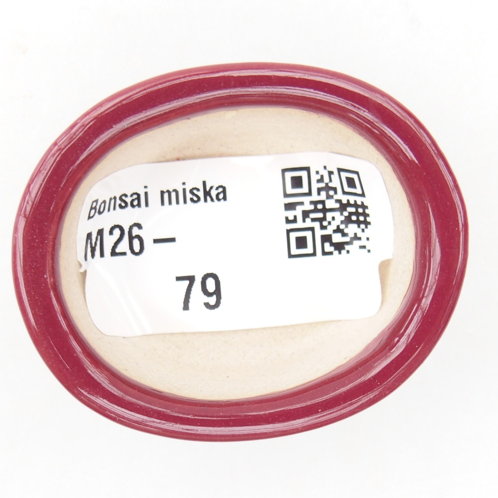 Mini bonsai bowl 4,5 x 4 x 2 cm, burgundy