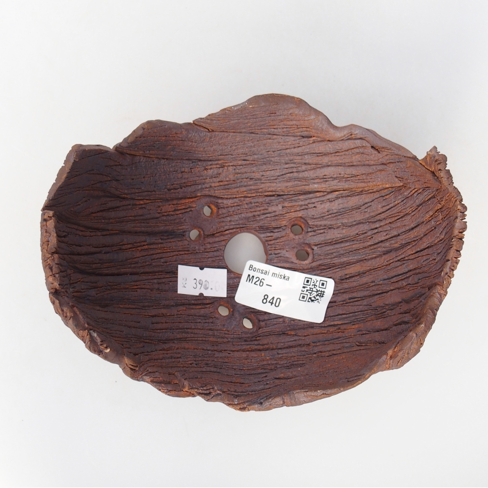 Ceramic shell 14 x 12 x 9,5 cm , colour brown