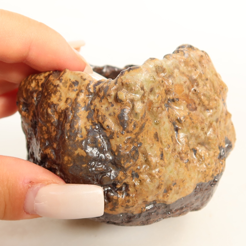 Ceramic Shell, 7.5 x 6.5 x 6 cm, brown