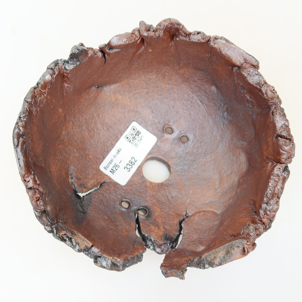 Ceramic Shell, 14.5 x 14 x 8.5 cm, brown