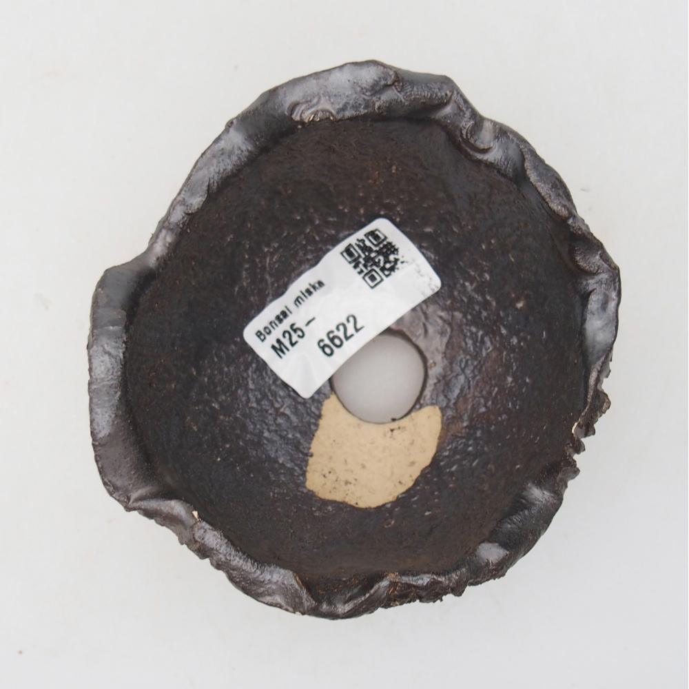 Ceramic Shell 9 x 9 x 6 cm , colour black