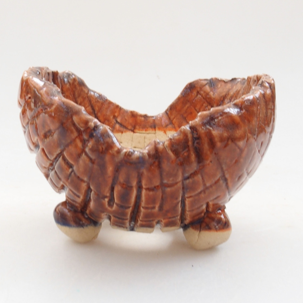 Ceramic shell 7,5 x 7 x 6 cm, color brown
