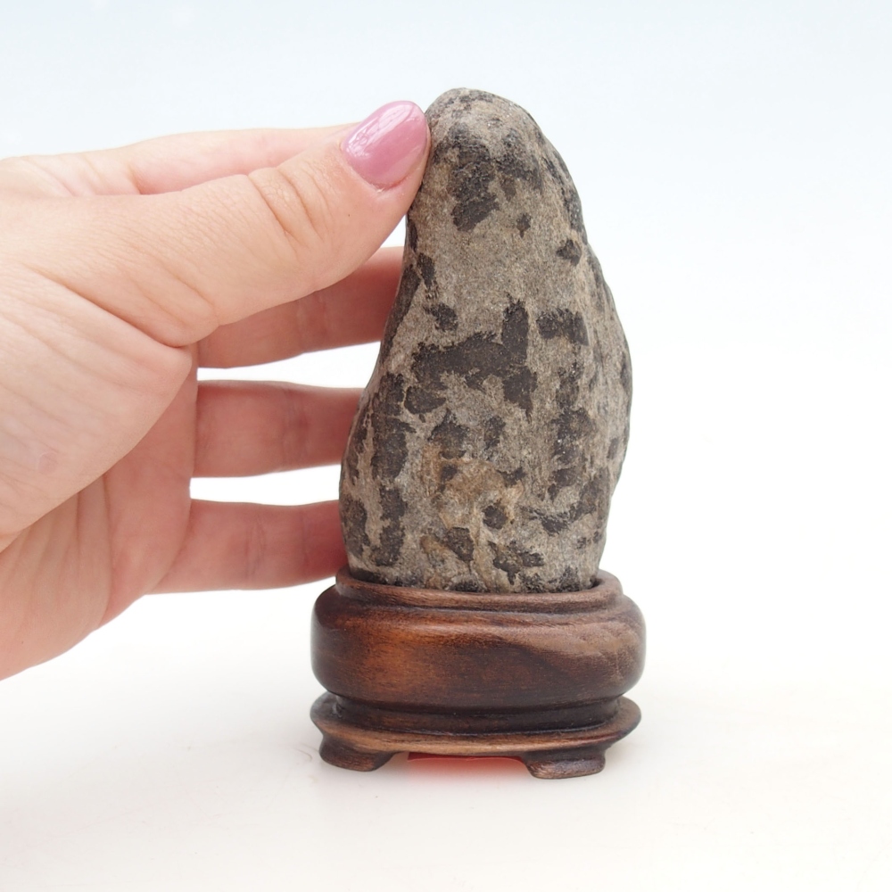 Suiseki - Stone with DAI (wooden pad)