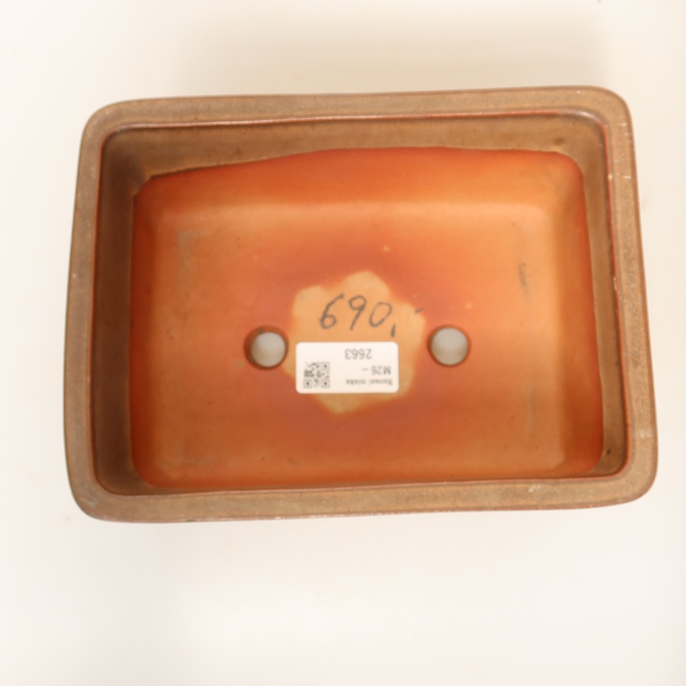 Ceramic Shell  19.5 x 15 x 8.5 cm, brown