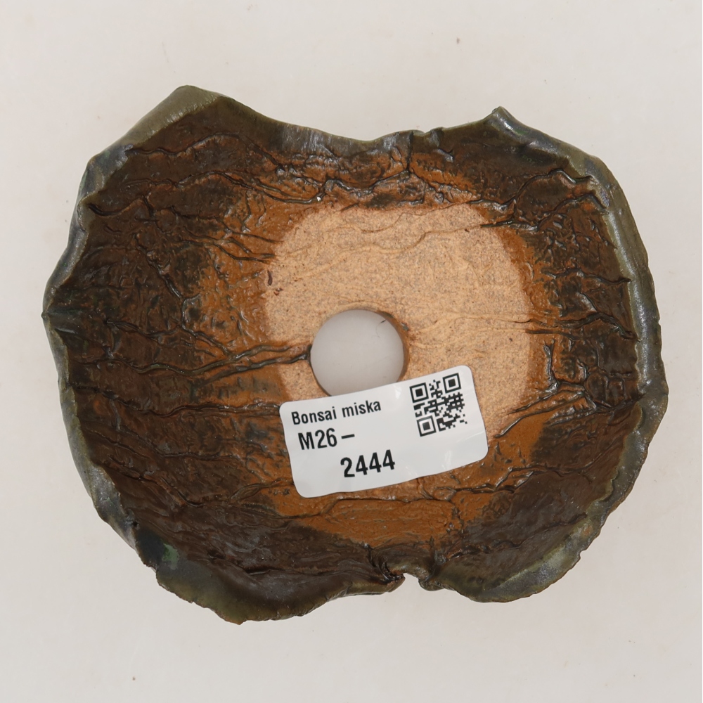Ceramic Shell  10.5 x 8.5 x 6 cm, brownish-green