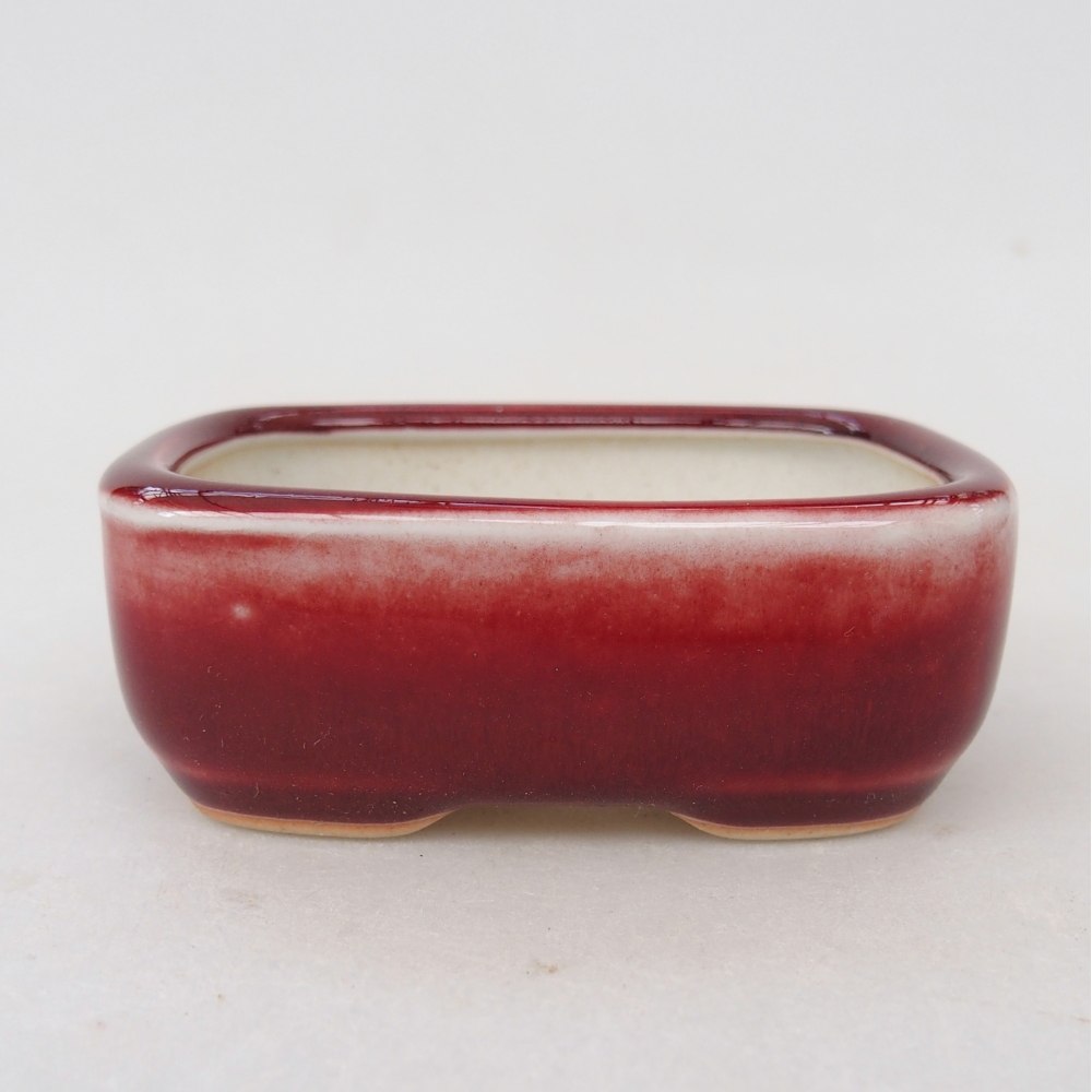 Mini bonsai bowl 8 x 6 x 3 cm, colour red