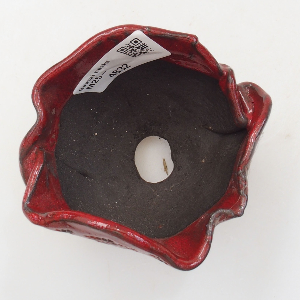 Ceramic shell 8 x 7 x 8 cm, color red