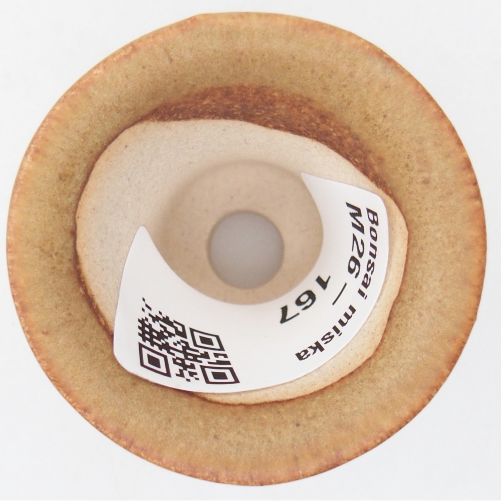 Mini bonsai bowl 4,5 x 4,5 x 4 cm, brown