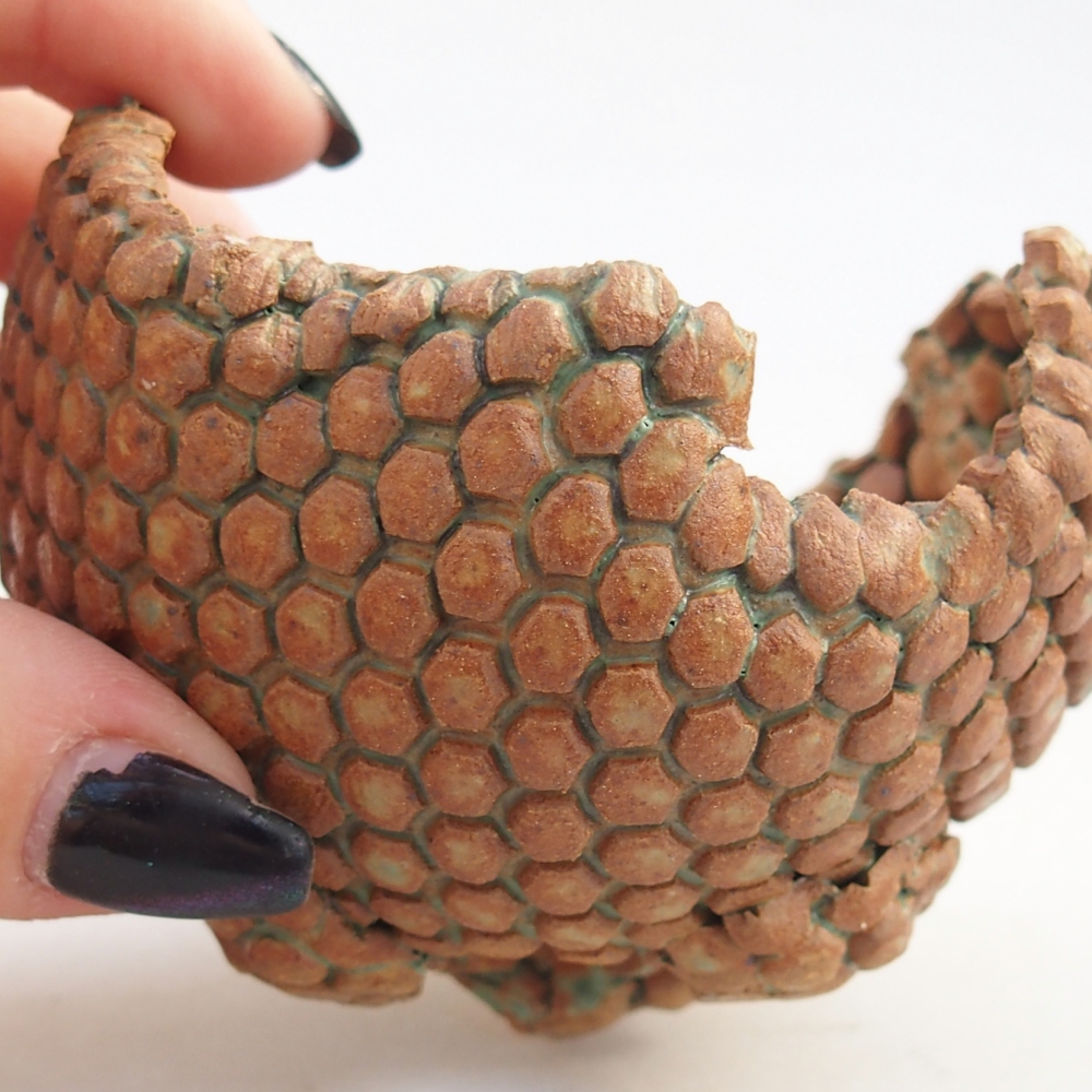 Ceramic Shell 8 x 8 x 6 cm , colour brown-green