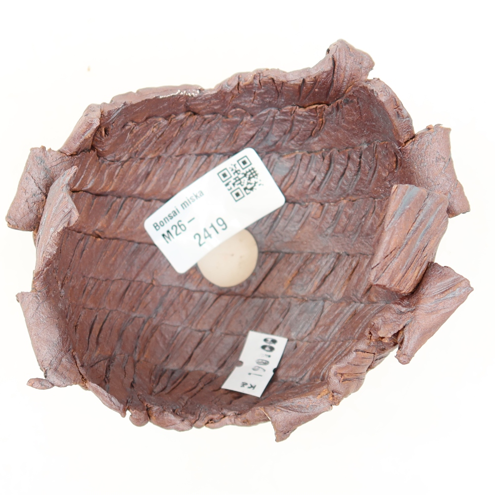 Ceramic Shell  10.5 x 9.5 x 9 cm, brown