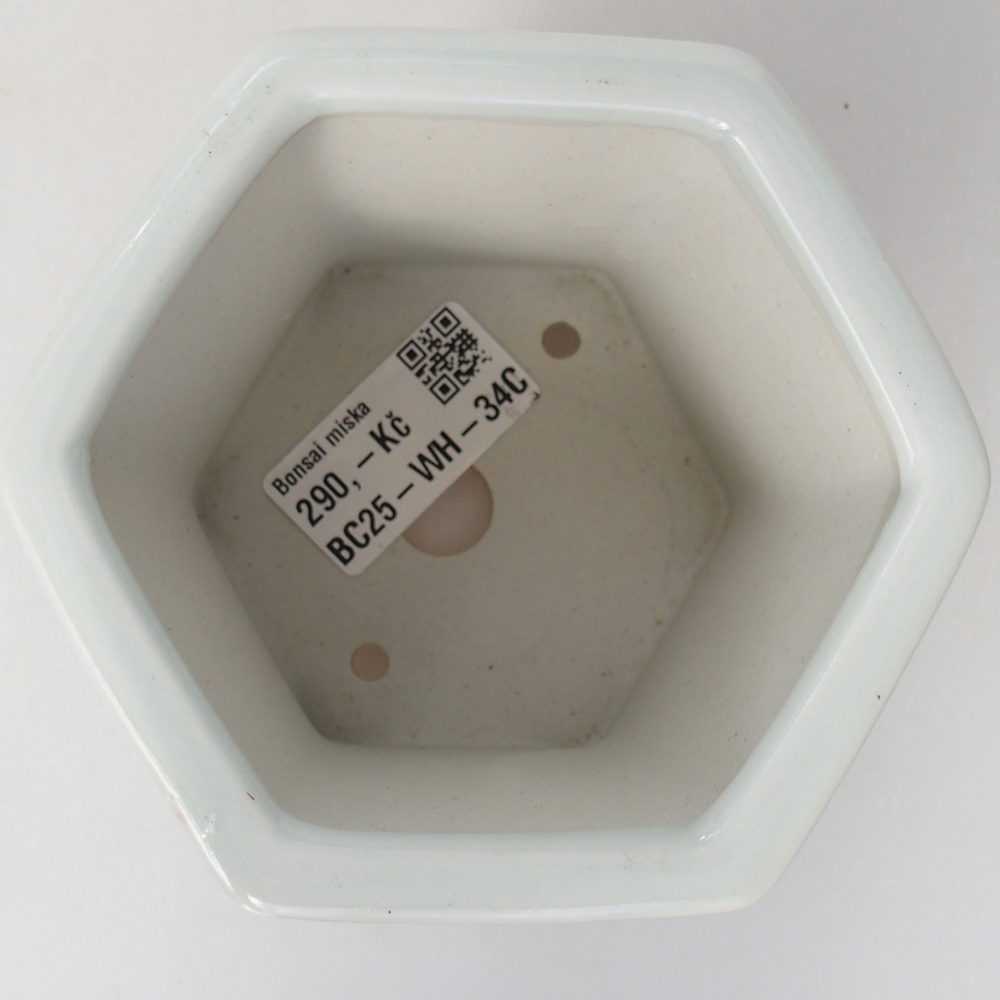 Ceramic bonsai bowl 10,5 x 9,5 x 9 cm, colour white