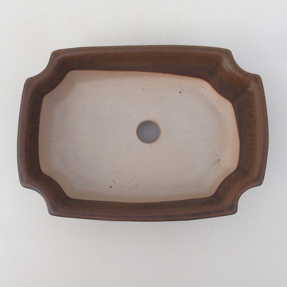 Bonsai bowl H03 - 16.5 x 12 x 4.5 cm. - brown