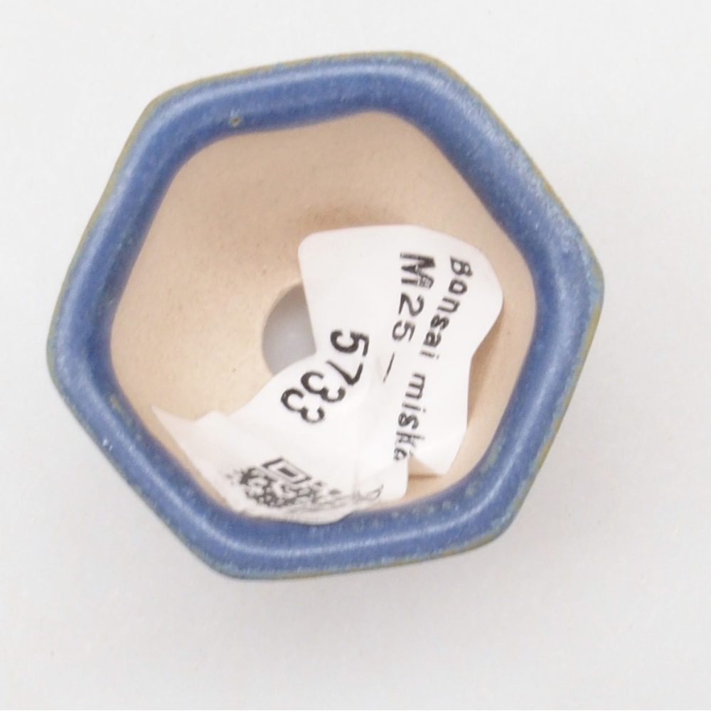 Mini bonsai bowl 4 x 3,5 x 3 cm, color blue