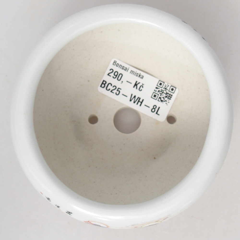 Ceramic bonsai bowl 10 x 10 x 5 cm, colour white