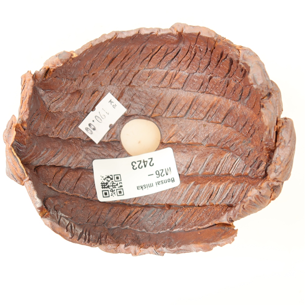 Ceramic Shell  10.5 x 9.5 x 8.5 cm, brown