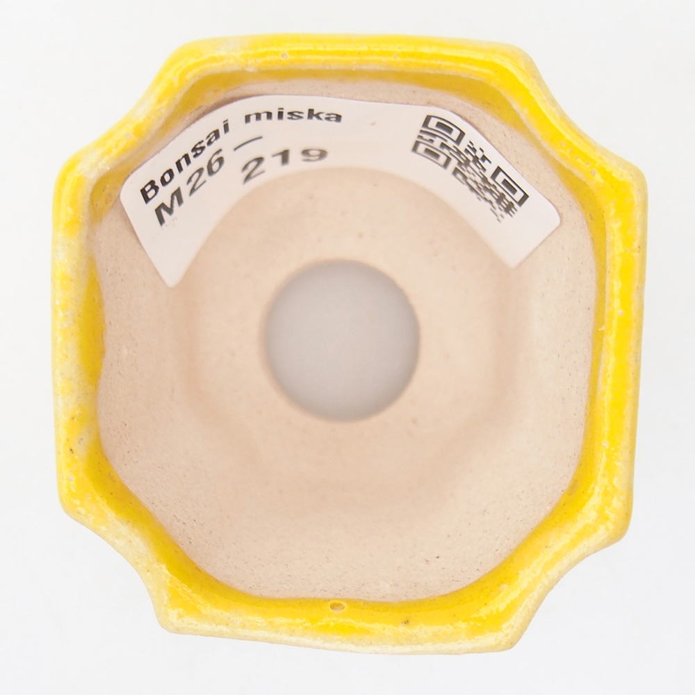 Mini bonsai bowl 4,5 x 4,5 x 4 cm, yellow